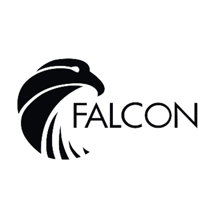 Falcon 500ml Stainless Steel Drinks Bottle